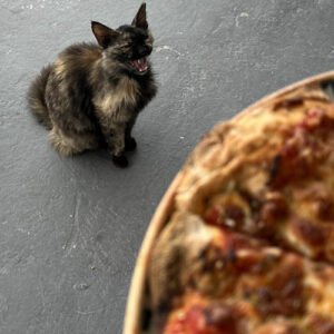 A cat looking at pizza